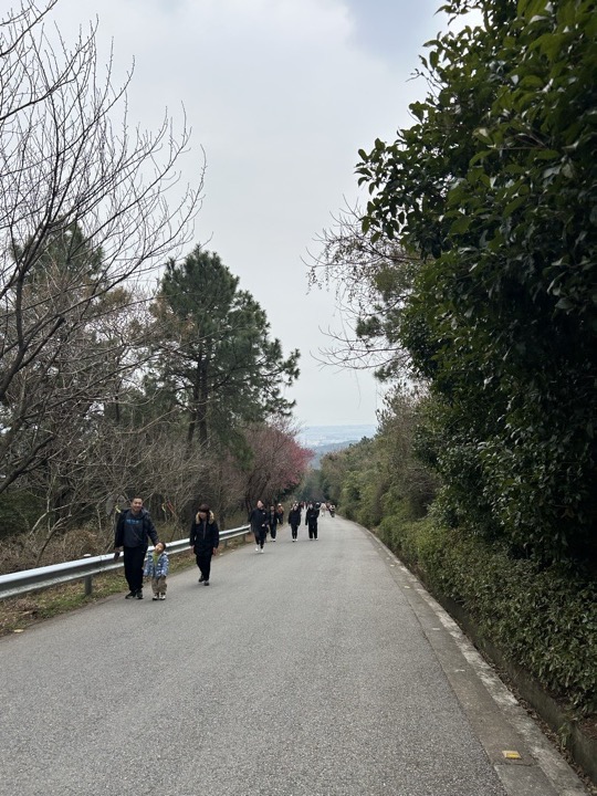 【徒步| 苏州市吴中区旺七】疾速入门·姑苏旺七｜苏州太湖疾速入门线路旅行照片 12