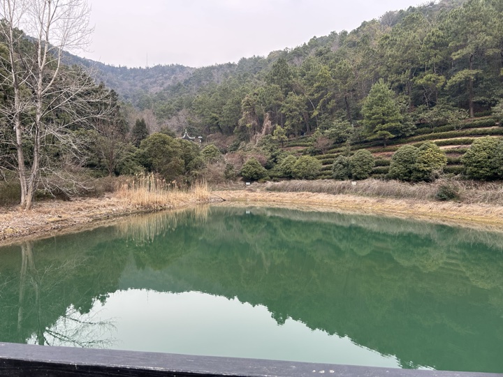 【徒步| 苏州市吴中区旺七】疾速入门·姑苏旺七｜苏州太湖疾速入门线路旅行照片 13