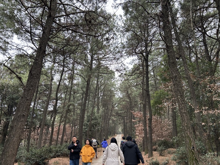 【徒步| 苏州市吴中区旺七】疾速入门·姑苏旺七｜苏州太湖疾速入门线路旅行照片 21
