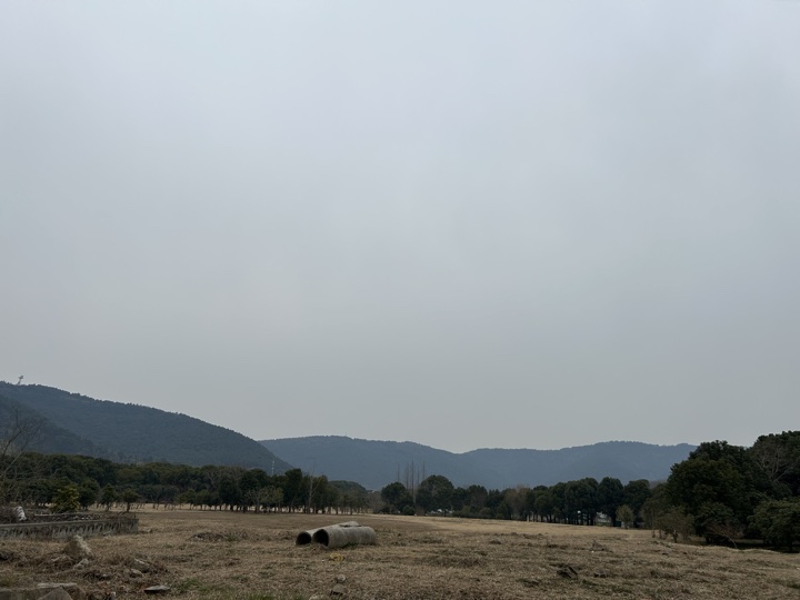 【徒步| 苏州市吴中区旺七】疾速入门·姑苏旺七｜苏州太湖疾速入门线路旅行照片 23