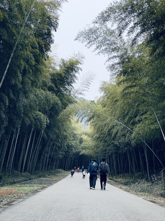 【徒步| 苏州市吴中区旺七】疾速入门·姑苏旺七｜苏州太湖疾速入门线路旅行照片 24