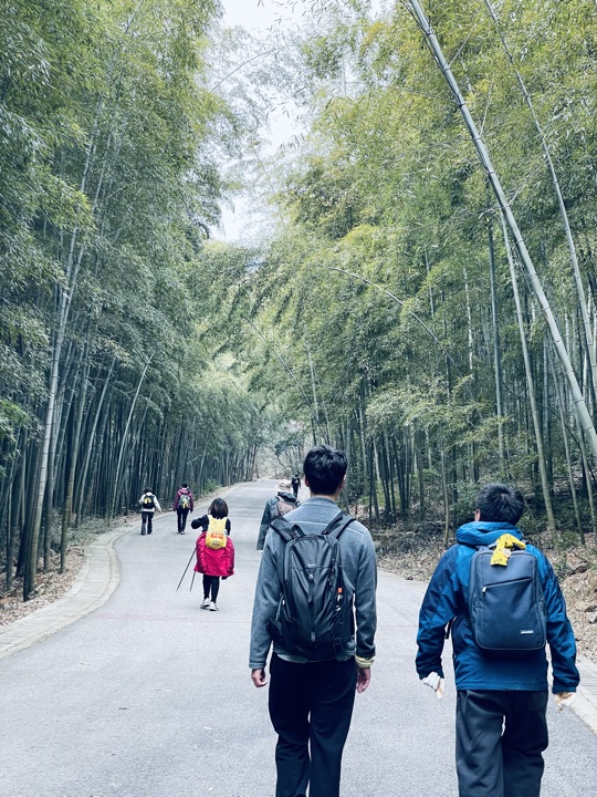 【徒步| 苏州市吴中区旺七】疾速入门·姑苏旺七｜苏州太湖疾速入门线路旅行照片 25