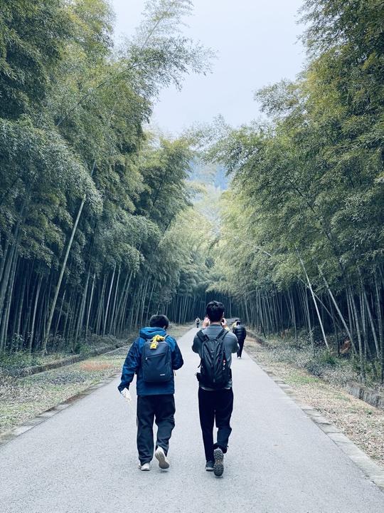 【徒步| 苏州市吴中区旺七】疾速入门·姑苏旺七｜苏州太湖疾速入门线路旅行照片 26