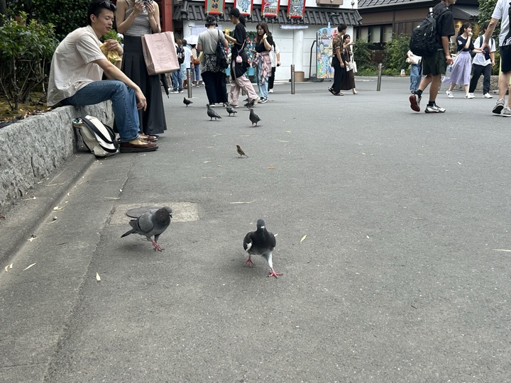 东京·浅草寺与上野公园旅行照片 15