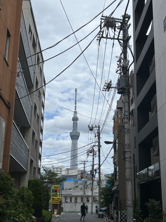 东京·浅草寺与上野公园旅行照片 16