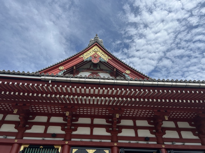 东京·浅草寺与上野公园旅行照片 19