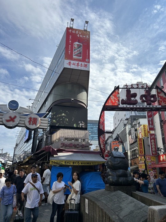东京·浅草寺与上野公园旅行照片 25