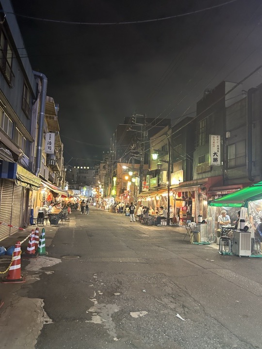 东京·浅草寺与上野公园旅行照片 33