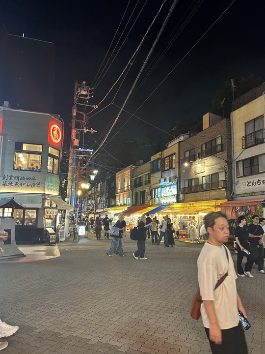 东京·浅草寺与上野公园旅行照片 34