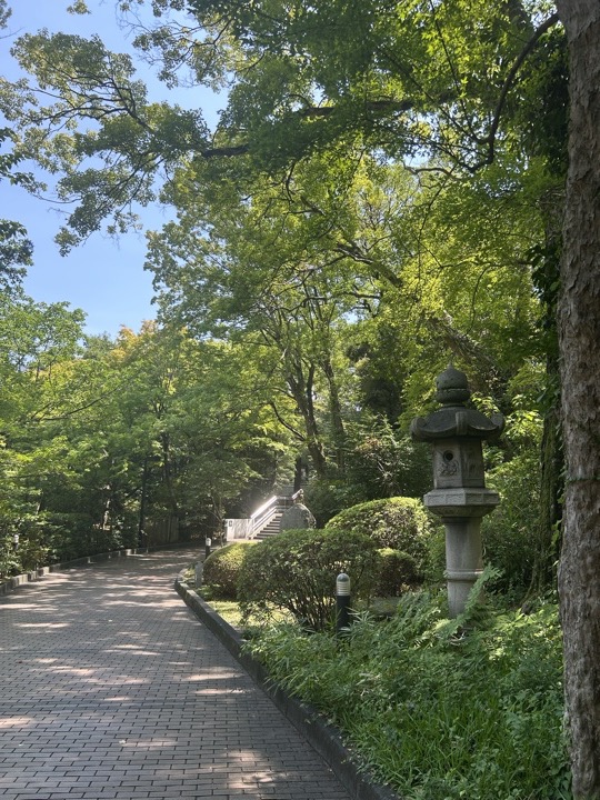 东京·银座、早稻田大学与一兰拉面旅行照片 15