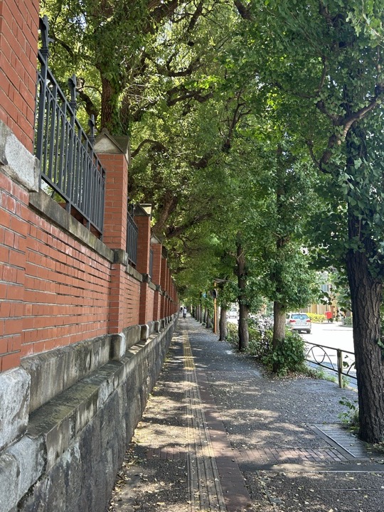 东京·原宿、新宿与东京大学旅行照片 8