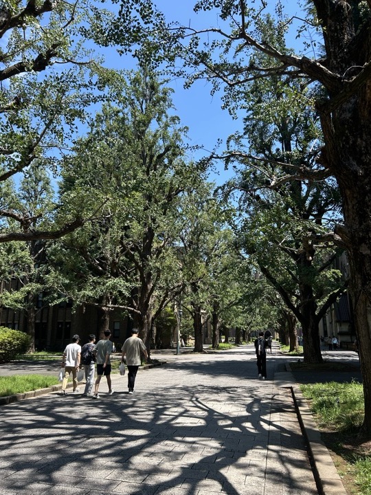 东京·原宿、新宿与东京大学旅行照片 10