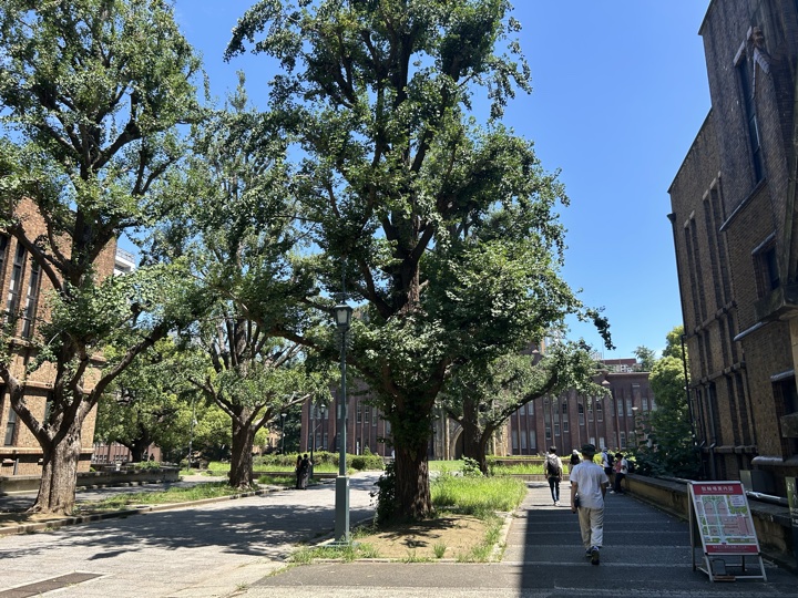 东京·原宿、新宿与东京大学旅行照片 11