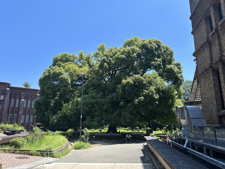 东京·原宿、新宿与东京大学旅行照片 12