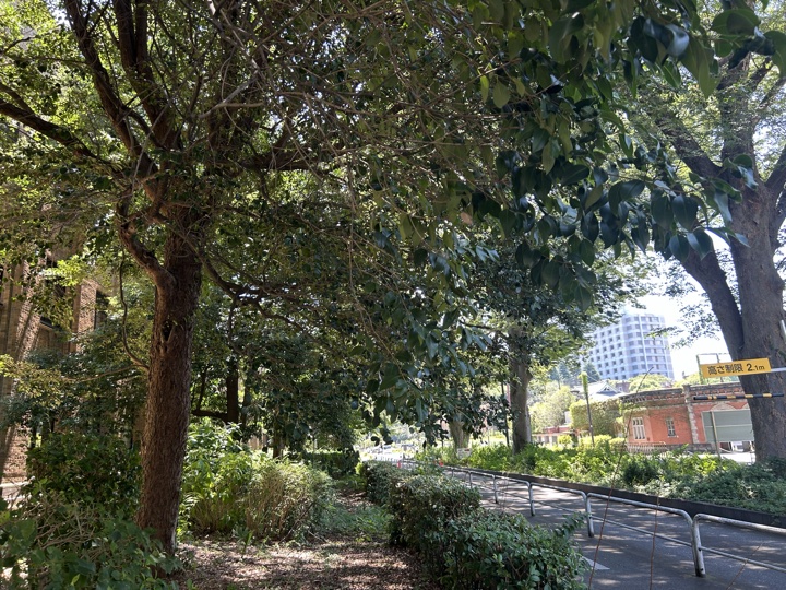东京·原宿、新宿与东京大学旅行照片 19