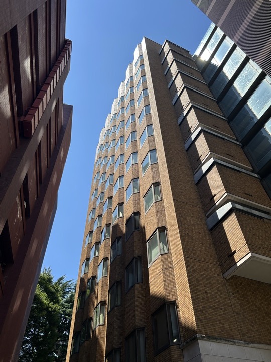 东京·原宿、新宿与东京大学旅行照片 23