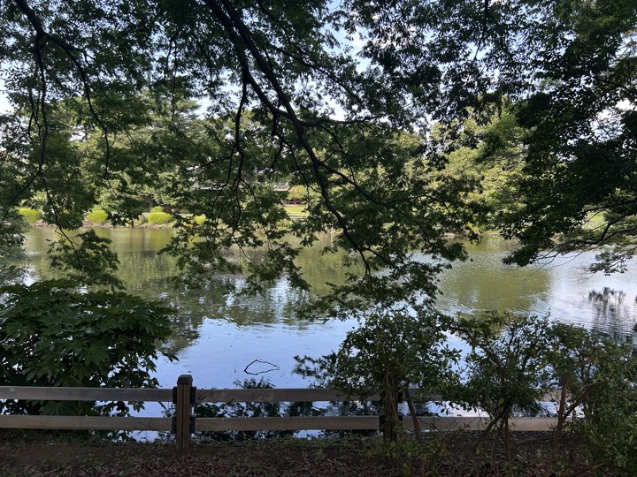 东京·新宿御苑旅行照片 8