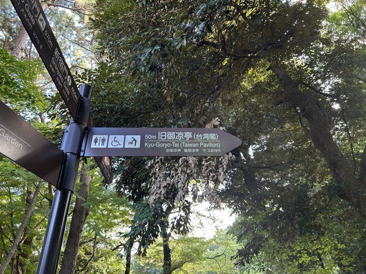 东京·新宿御苑旅行照片 10