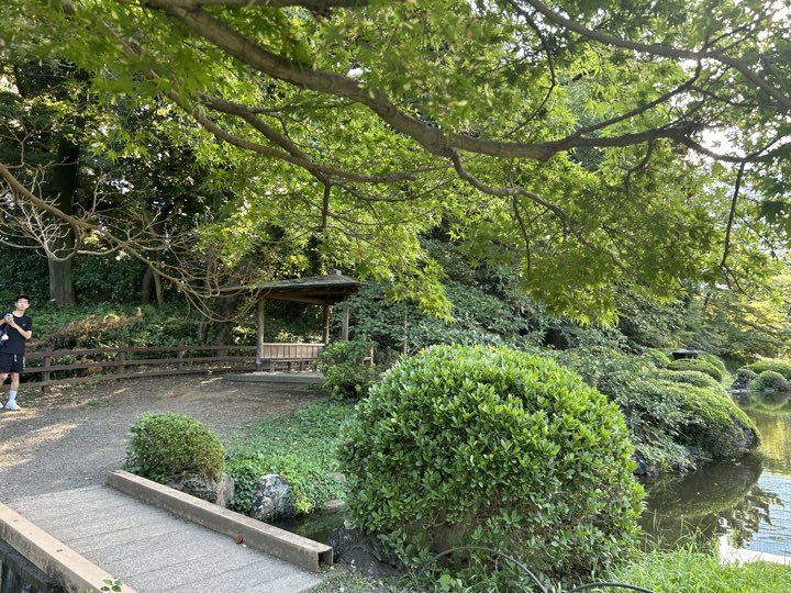 东京·新宿御苑旅行照片 13
