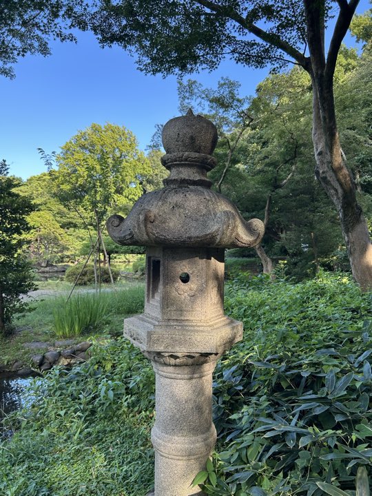 东京·新宿御苑旅行照片 15