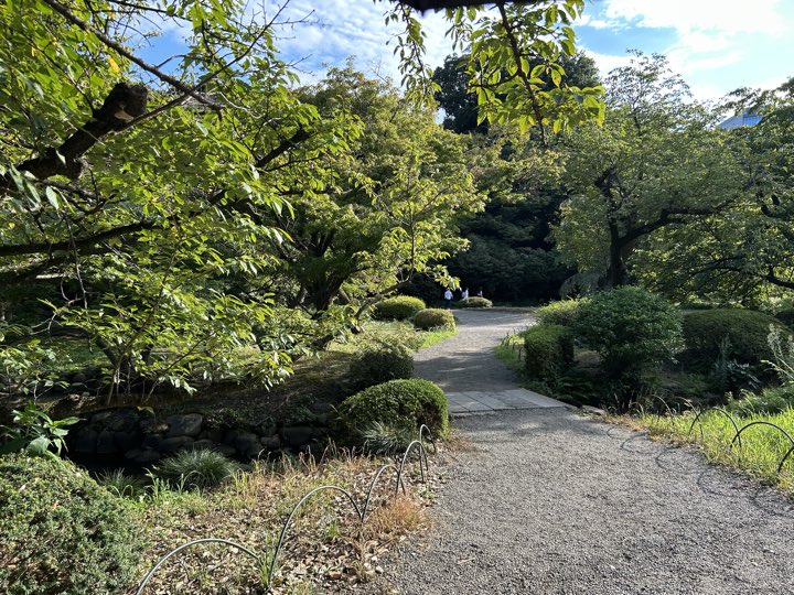 东京·新宿御苑旅行照片 17