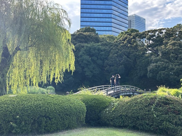 东京·新宿御苑旅行照片 19