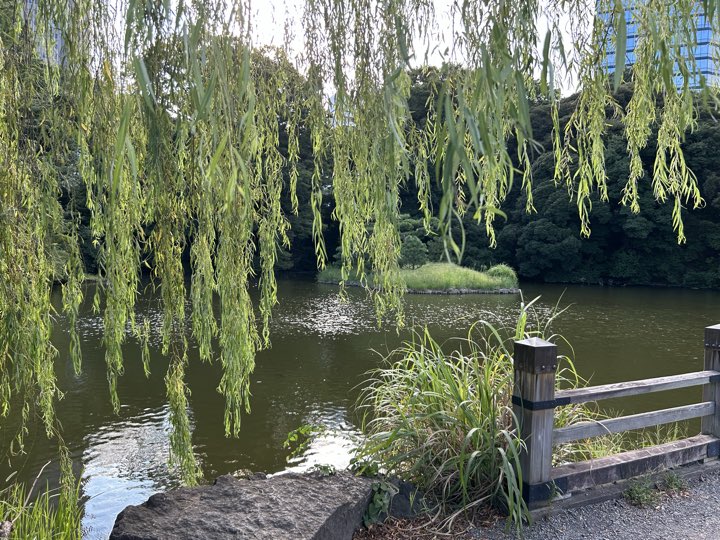 东京·新宿御苑旅行照片 20