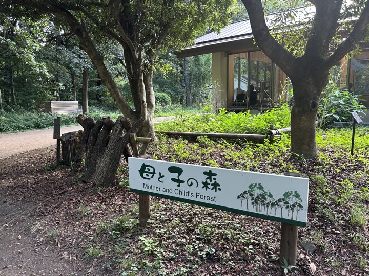 东京·新宿御苑旅行照片 23