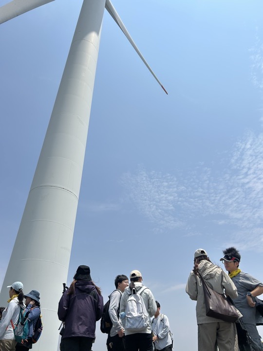 【徒步| 浙江省舟山市定海区岑港街道马目村】风车之旅·海上雏菊｜风车公路，赏马目花海旅行照片 4