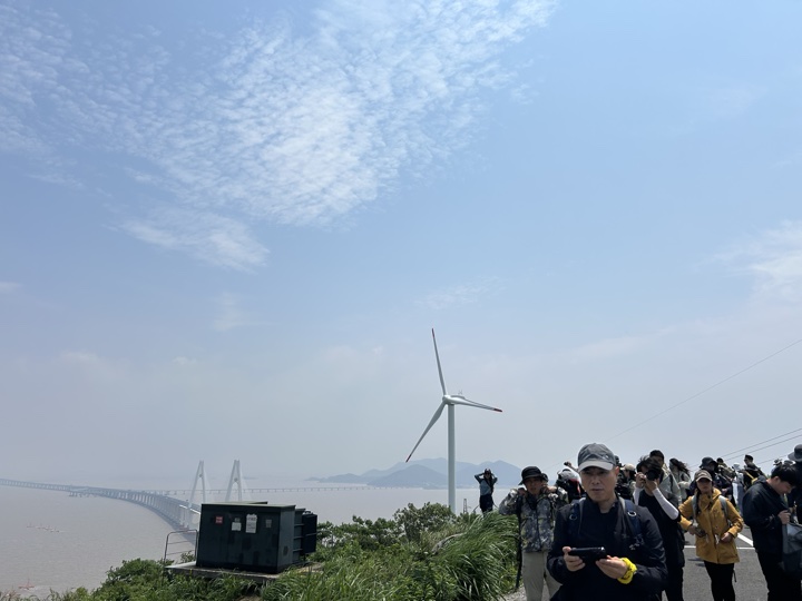 【徒步| 浙江省舟山市定海区岑港街道马目村】风车之旅·海上雏菊｜风车公路，赏马目花海旅行照片 5