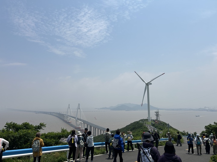 【徒步| 浙江省舟山市定海区岑港街道马目村】风车之旅·海上雏菊｜风车公路，赏马目花海旅行照片 6