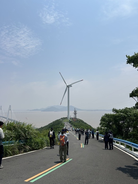 【徒步| 浙江省舟山市定海区岑港街道马目村】风车之旅·海上雏菊｜风车公路，赏马目花海旅行照片 7