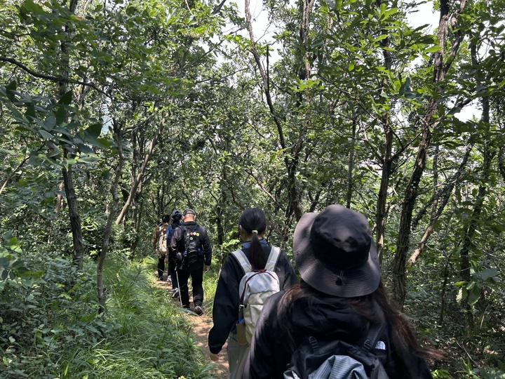 【徒步| 浙江省舟山市定海区岑港街道马目村】风车之旅·海上雏菊｜风车公路，赏马目花海旅行照片 10