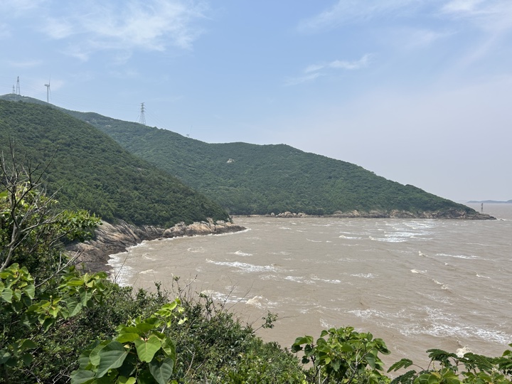 【徒步| 浙江省舟山市定海区岑港街道马目村】风车之旅·海上雏菊｜风车公路，赏马目花海旅行照片 11