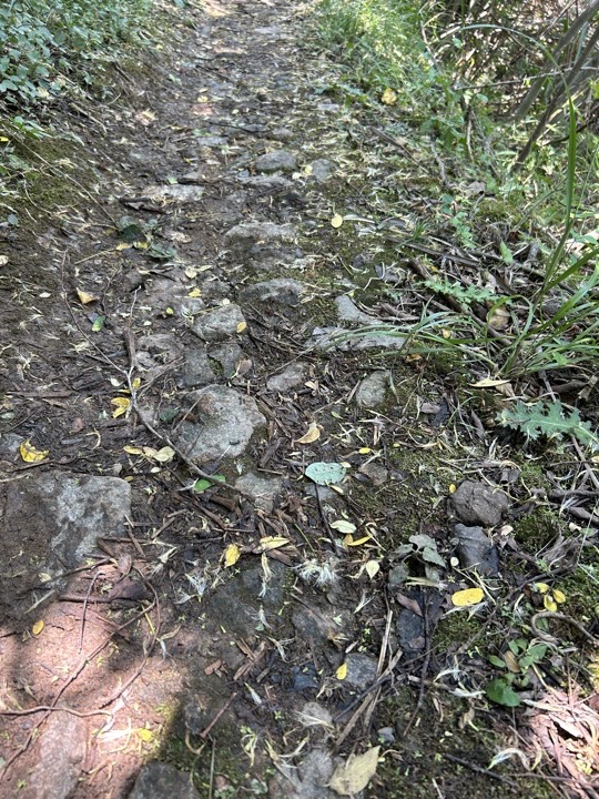 【徒步| 浙江省舟山市定海区岑港街道马目村】风车之旅·海上雏菊｜风车公路，赏马目花海旅行照片 12