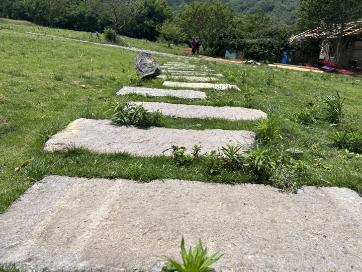 【徒步| 浙江省舟山市定海区岑港街道马目村】风车之旅·海上雏菊｜风车公路，赏马目花海旅行照片 13