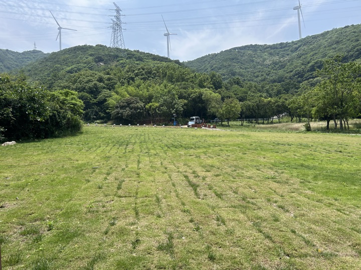 【徒步| 浙江省舟山市定海区岑港街道马目村】风车之旅·海上雏菊｜风车公路，赏马目花海旅行照片 14