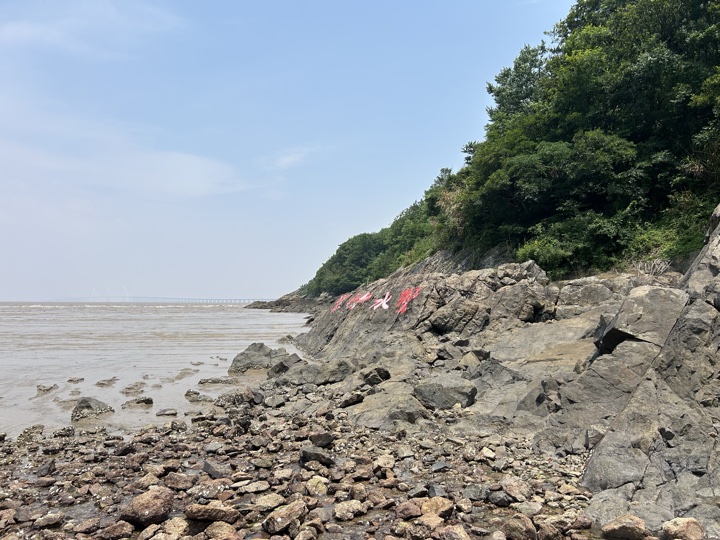 【徒步| 浙江省舟山市定海区岑港街道马目村】风车之旅·海上雏菊｜风车公路，赏马目花海旅行照片 16