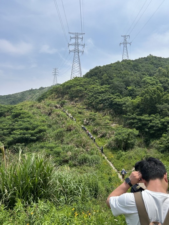 【徒步| 浙江省舟山市定海区岑港街道马目村】风车之旅·海上雏菊｜风车公路，赏马目花海旅行照片 25