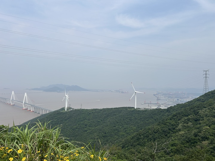 【徒步| 浙江省舟山市定海区岑港街道马目村】风车之旅·海上雏菊｜风车公路，赏马目花海旅行照片 26