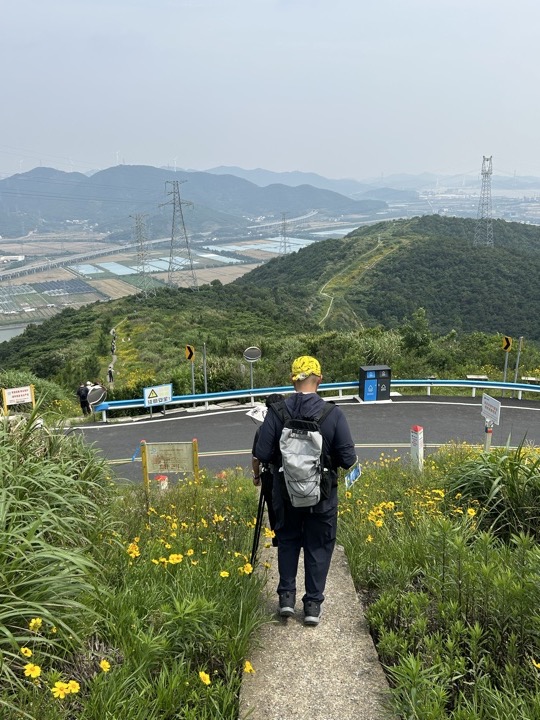 【徒步| 浙江省舟山市定海区岑港街道马目村】风车之旅·海上雏菊｜风车公路，赏马目花海旅行照片 29