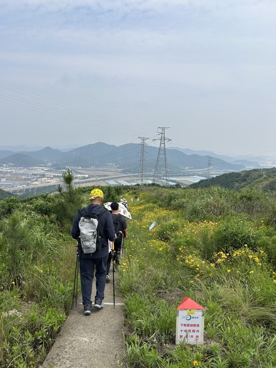 【徒步| 浙江省舟山市定海区岑港街道马目村】风车之旅·海上雏菊｜风车公路，赏马目花海旅行照片 30