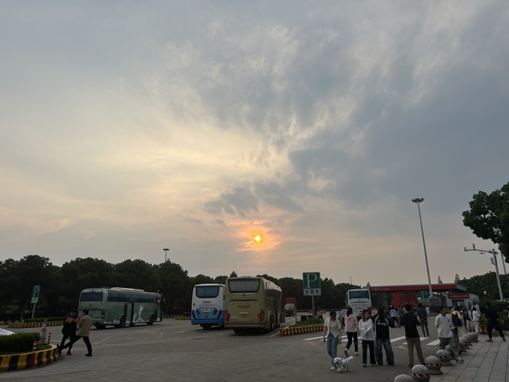 【徒步| 浙江省舟山市定海区岑港街道马目村】风车之旅·海上雏菊｜风车公路，赏马目花海旅行照片 35