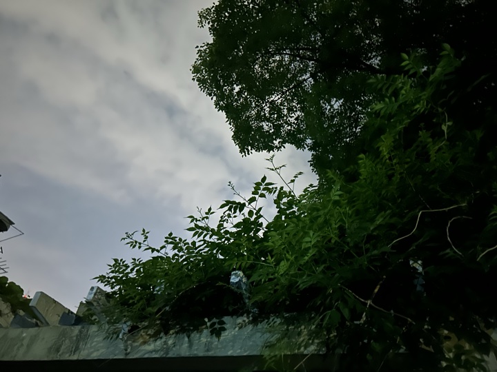 【徒步| 浙江省舟山市定海区岑港街道马目村】风车之旅·海上雏菊｜风车公路，赏马目花海旅行照片 36